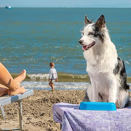 V3 Valle Da Pesca Prázdninový dům Albarella Island